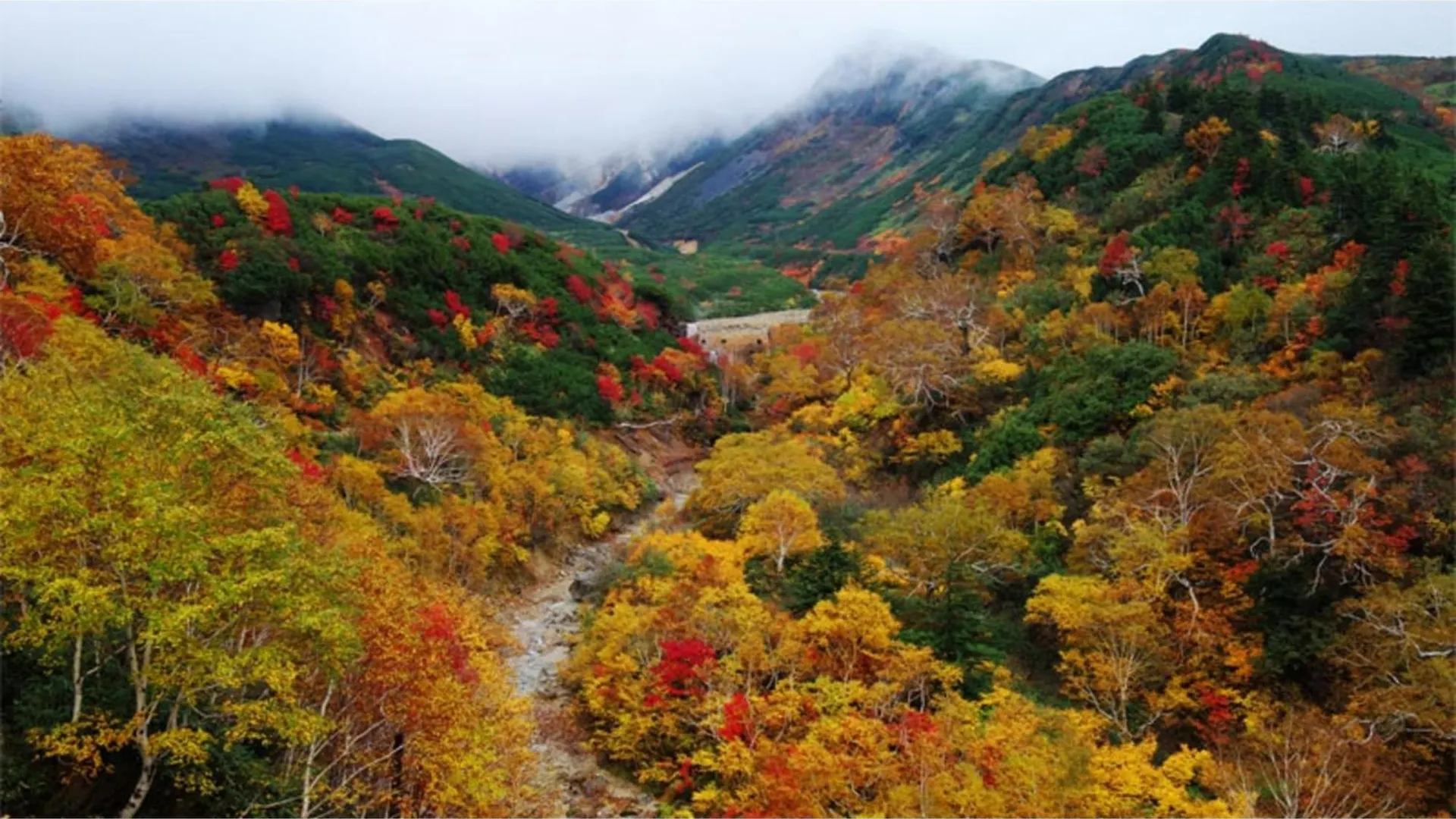 Furano Hops Hotel - Vacation Stay 41159V Kamifurano 0*,